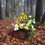Sandy Smales Sunshine Coast Celebrant